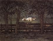 Piet Mondrian White cow oil painting